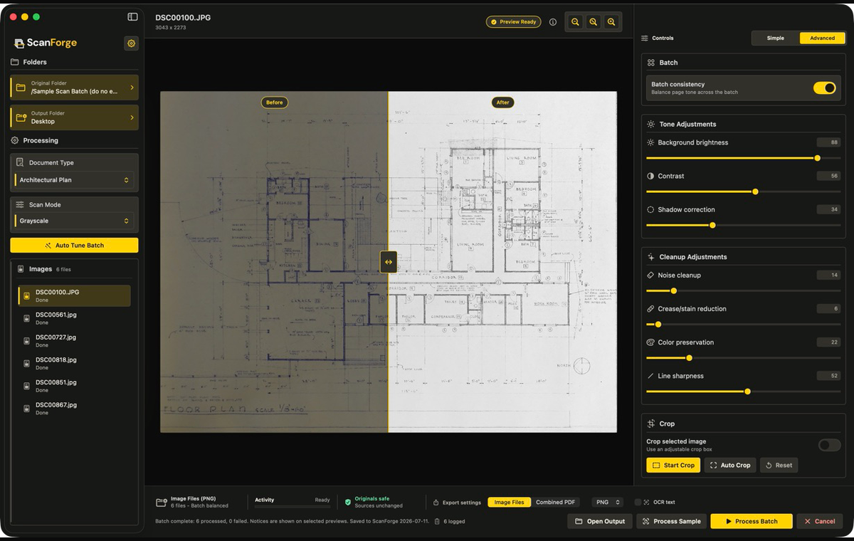 ScanForge completed batch with six processed files and controls still available for review